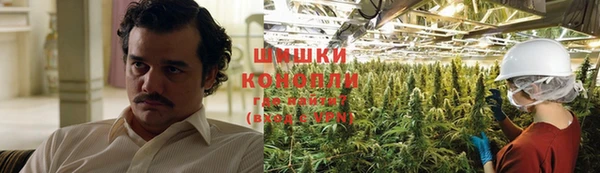 сатива Абинск