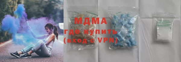 индика Алексин
