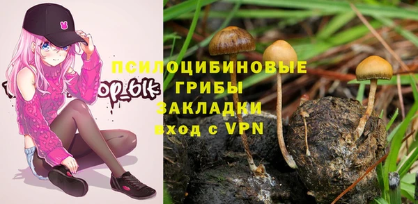 соль ск Алексеевка