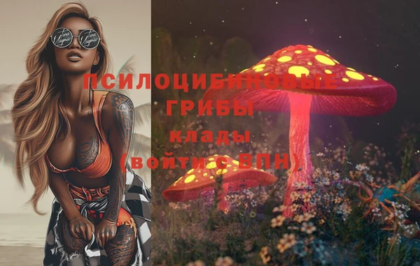 индика Алексин