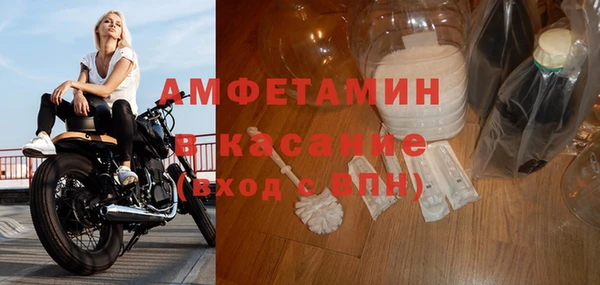 сатива Абинск