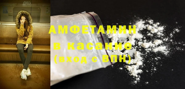 сатива Абинск